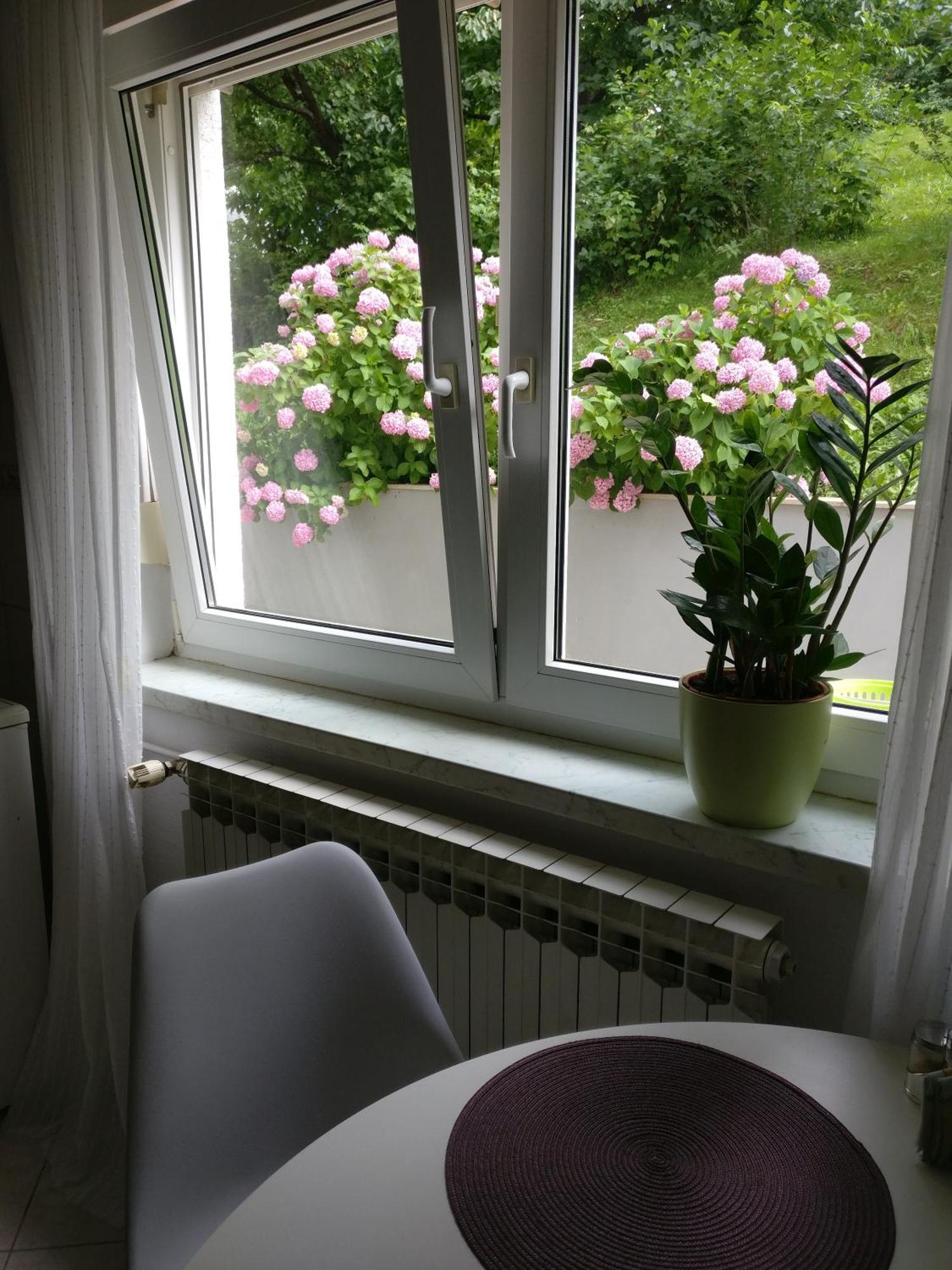 Apartman Malina Károlyváros Kültér fotó